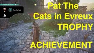 Assassin's creed Valhalla : pat all the cats trophy / achievement( pat the 4 cats in evreux )