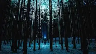 dxnyy-No Love (prod. fl0wzy x aasia)
