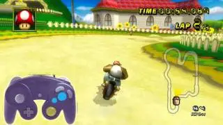 [MKWii] Input Viewer Test - Ninrankings Ghostviewer