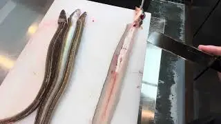 穴子の捌き方　背開きver