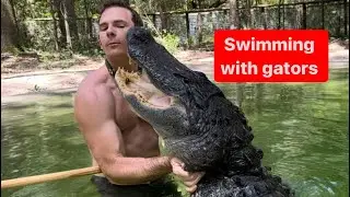 Swimming with my gators