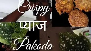 Crispy प्याज Pakoda Recipe | 5 मिनट में कुरकुरा वड़ा बनाएं