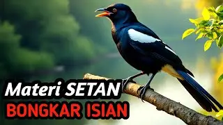 MASTERAN KACER FULL ISIAN | Nembak Tajam + Ngerol Panjang Natural Sound
