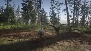 Playing as a Rabbit - Harriet Vitalism Studies  | Red Dead Redemption 2