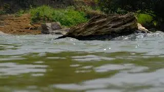 Kok River - Chiangrai Thailand