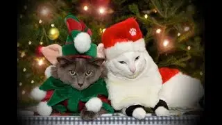 Funny Happy New Year Wishes 2017-2018. Congratulations quotes and wishes for Happy New Year