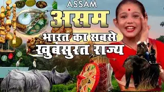 Assam traditional food,Assam traditional dress,Assam ka all jankari Assam travel Vlogs,pallab Vlogs