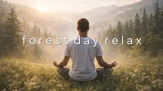 Forest Day Relax – Calm Piano Music for Stress Relief & Focus