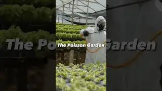 Este es El Jard&iacute;n M&aacute;s Peligroso Del Mundo #shorts #poissongarden #jardin #lossupertops