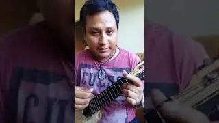 Granadita-cober en charango