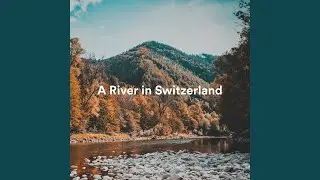 Joyful Water Sound