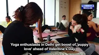 Yoga enthusiasts in Delhi get boost of 'puppy love' ahead of Valentine's Day