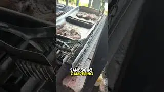 Sancocho & Chorizo: The Irresistible Comfort Food of the Caribbean