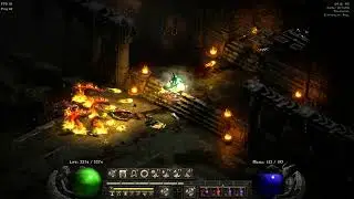 Diablo II  Resurrected D2R HC Budget Trav Barb IK Set