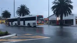 Light City Buses Scania L94UA 'Custom Coaches CB60 Combo' 959 arriving at Port Adelaide