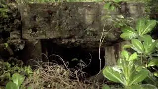 Peleliu and Angaur