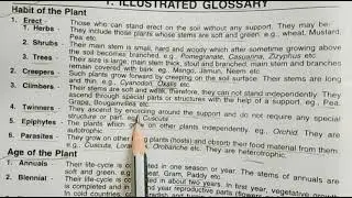 bsc 2 year botany paper 1 glossary (habit and age of the plants)