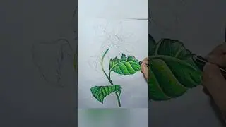 Realistic Sunflower drawing tutorial| #shorts #sunflower #sunflowerdrawing #art