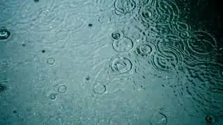 Free Rain Fall Relaxing Background Loop HD