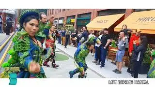 LATIN ELEPHANT CARNIVAL