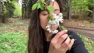 Summer is here! Litha - Solstice 2022 (cello music)