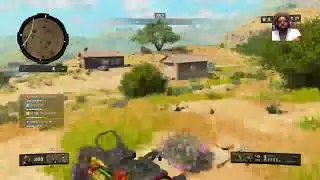 Blackjack Stash and Sentry // Days of Summer // Blackout Live Gameplay // 200+ Wins