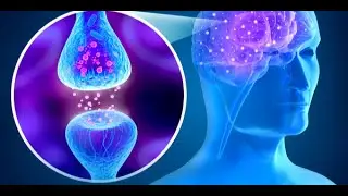 NeuroRecover and Amino Acid Therapy for Addiction at Serenity Springs in Central Florida