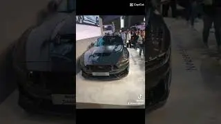 Salon mondial de l'auto