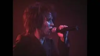 Moi dix Mois / Nocturnal Romance (live Invite to Immorality)