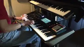 JPF PIANO - Chopin - Etude Op. 10 No. 3 - Fragment