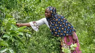 Turning hunger into harvest 🌳