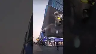 Crazy 3D hoarding in Japan 😱