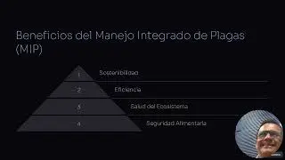 Sirfidos Polinizadores y Controladores Biologicos