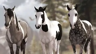 Buying the NEW American Paint Horse!! ~ [SSO] Star Stable Online