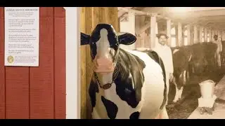 Loudoun Heritage Farm Museum virtual tour