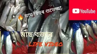 মাছ বজাৰৰ দৃশ্য | Local Fish Market Assam ll আজিৰ মাছ বজাৰ | Village Fish Market Assam