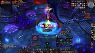 Orc of the Covenant vs Valiona & Theralion (25-heroic)