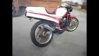 RZ350 Toomey Pipes