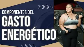 ¿Gasto Basal o en Reposo? Diecocálculo en Obesidad y Diabetes parte 1