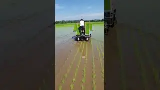 Modern Rice Planting Machine | Drone View Watch Precision in Action #farming #technology #drones