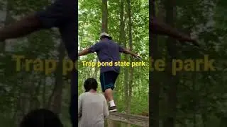 Trap pond state park Delaware