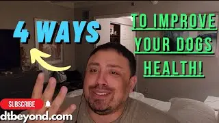 4 Ways to Improve Your Dog's Health & Extend Their Life