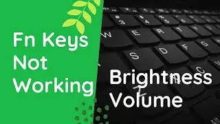 Volume Button Not Working. Reverse Function Keys and Multimedia Keys F1-F12 | Dell | a little coding