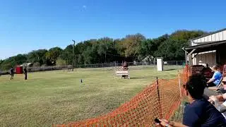 2019-10-19 Wire, French Ring II NARA Regionals 1.1m Hurdle