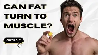 Can Fat Turn Into Muscle? 😱 | FIT or FICTION