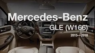 Mercedes GLE mileage stopper in action, odometer blocker, filter, freezer.