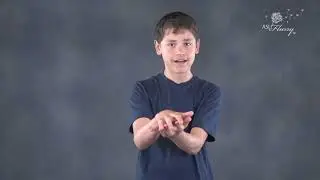 alligator | ASL Vocabulary A