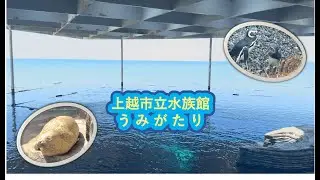 ー海と水族館がつながる場所ー上越市立水族館うみがたり