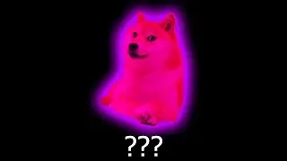 12 Doge 
