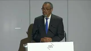 Director-General remarks at WHO Framework Convention on Tobacco Control COP11 Strategic Dialogue